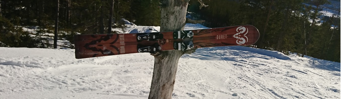Picture of monoski